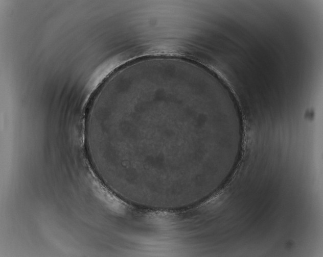 X0000115651075200911241728