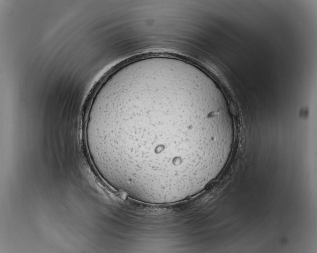 X0000115651076200911241728