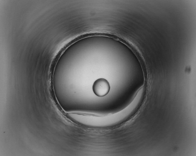 X0000115651077200911241728