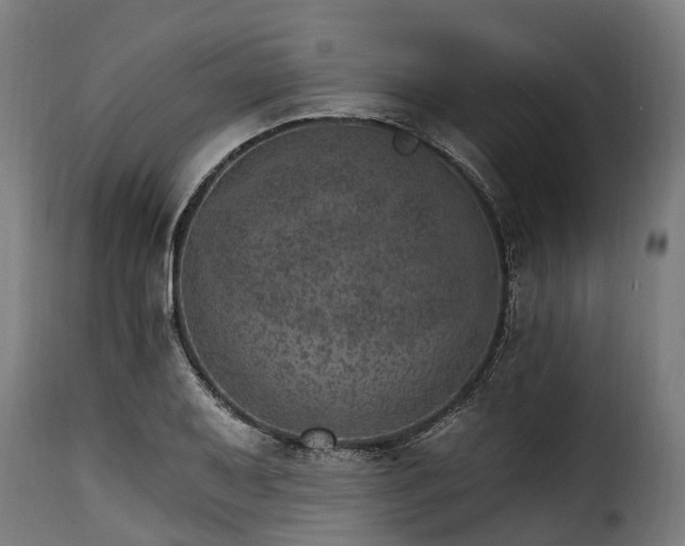 X0000115651079200911241728