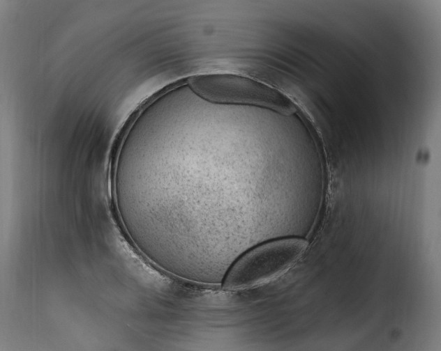 X0000115651080200911241728