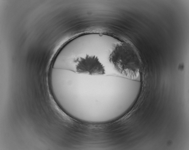 X0000115651083200911241728