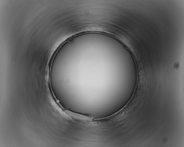 X0000115651084200911241728