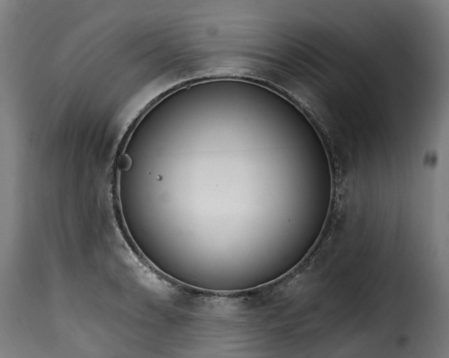 X0000115651086200911241728