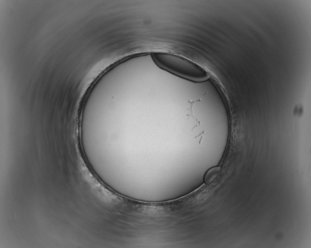 X0000115651088200911241728