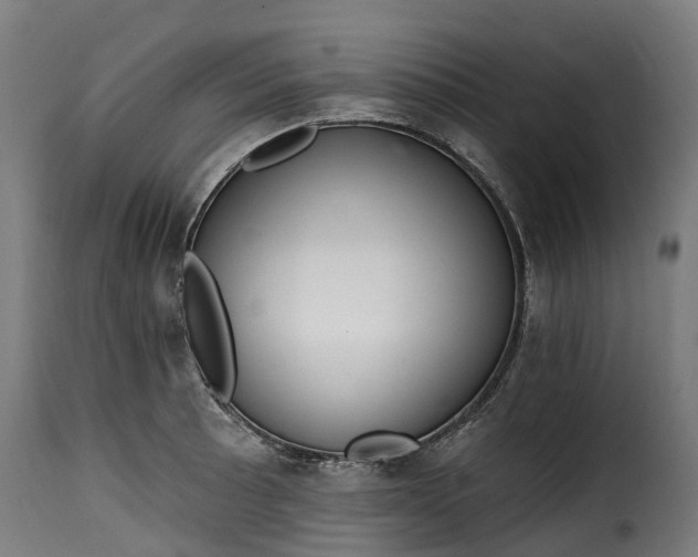 X0000115651089200911241728