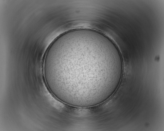 X0000115651090200911241728