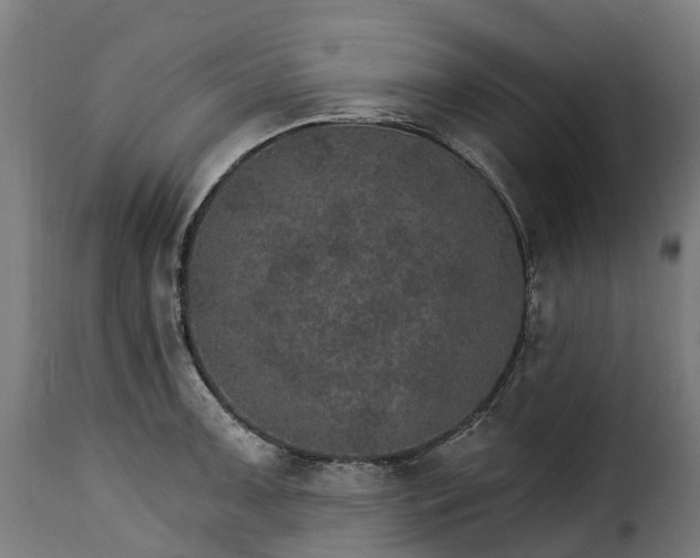 X0000115651091200911241728