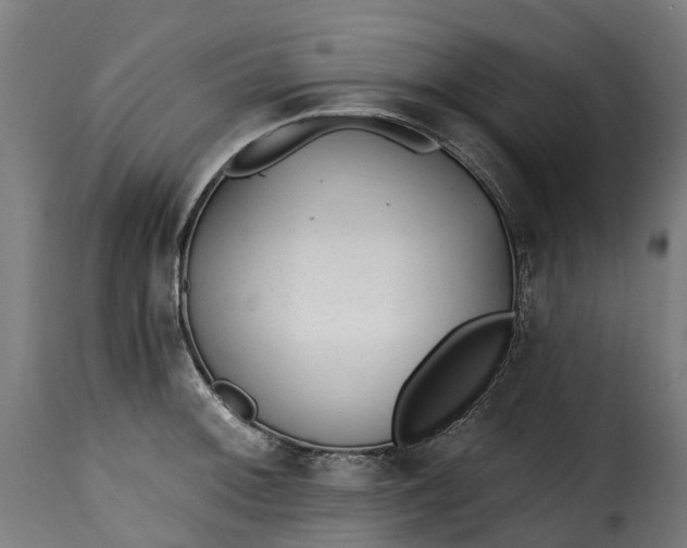 X0000115651092200911241728