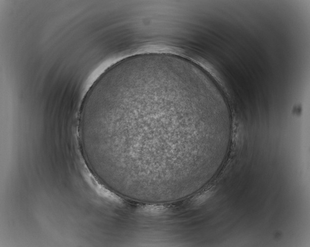 X0000115651094200911241728