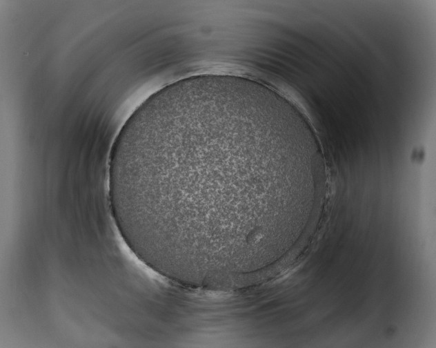 X0000115651095200911241728