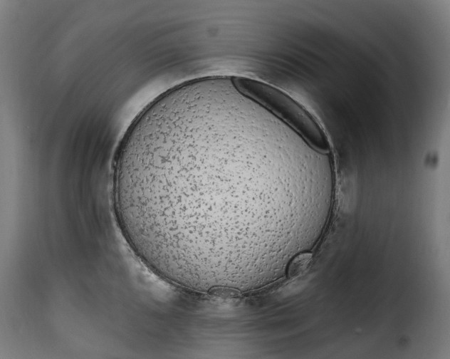 X0000115651096200911241728