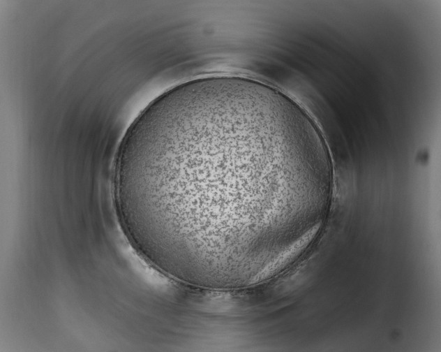 X0000115651098200911241728