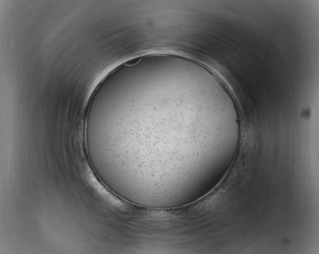 X0000115651100200911241728