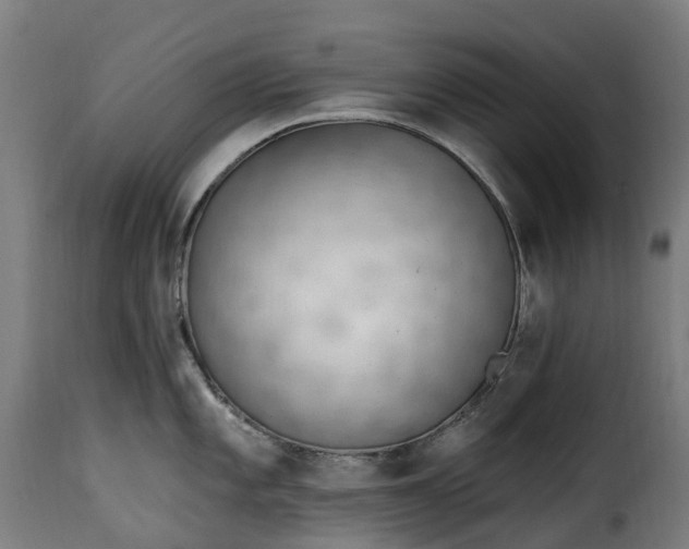 X0000115651101200911241728