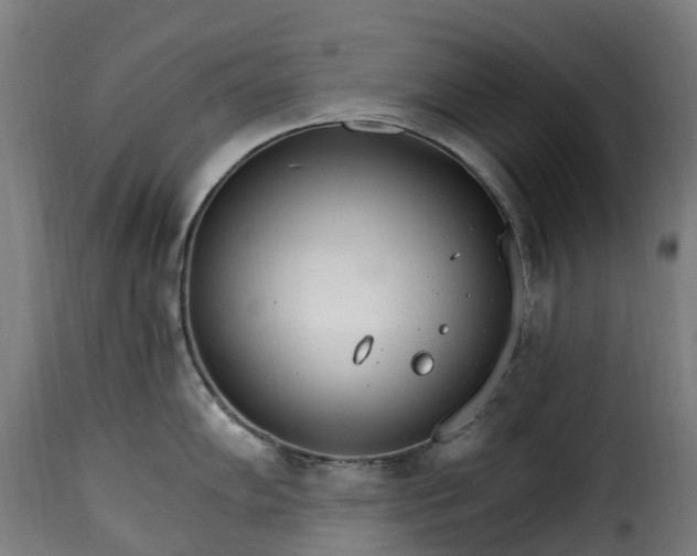 X0000115651102200911241728