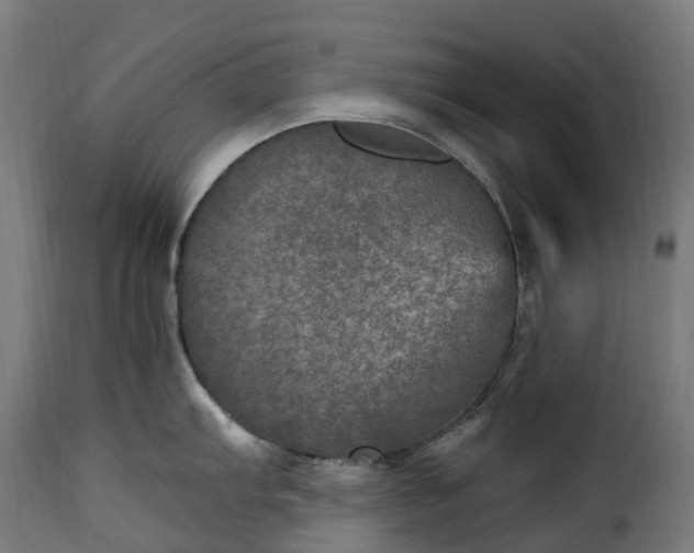 X0000115651103200911241728