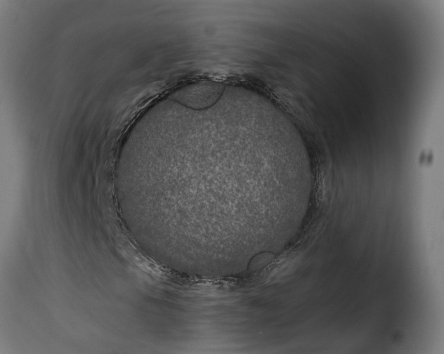 X0000115651105200911241727