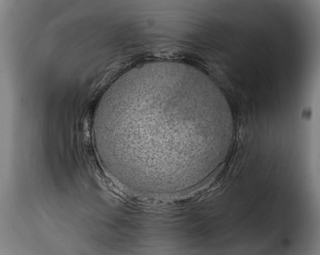 X0000115651106200911241727