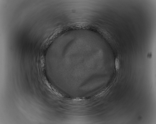 X0000115651107200911241727