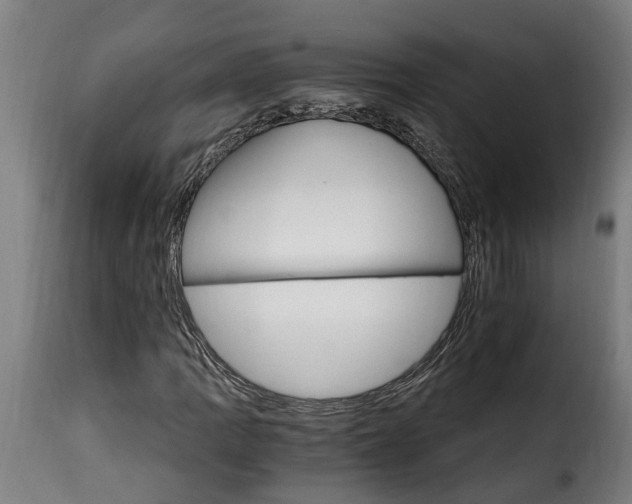 X0000115651109200911241727