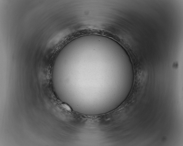 X0000115651110200911241727