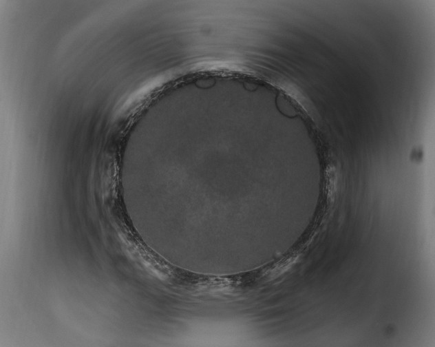 X0000115651111200911241728