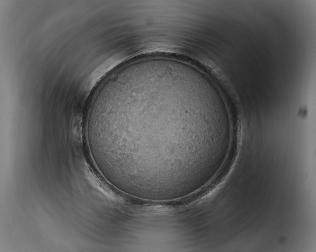 X0000115651113200911241728