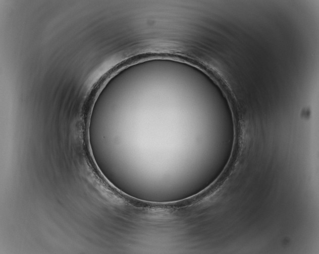 X0000115651114200911241728