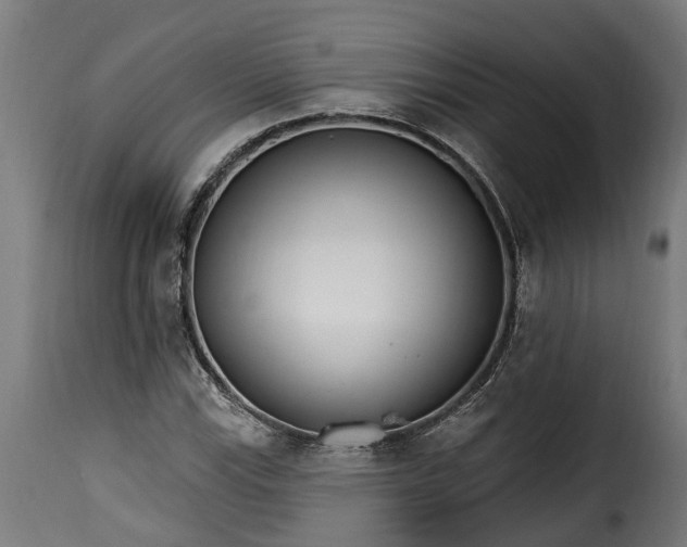 X0000115651115200911241728