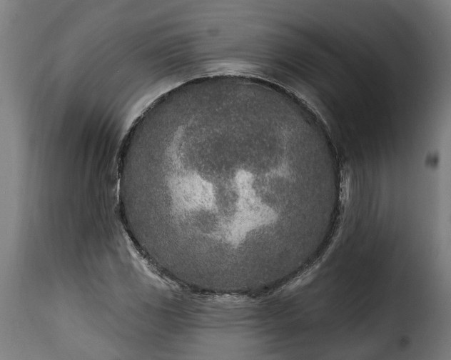 X0000115651117200911241728