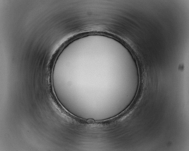 X0000115651118200911241728