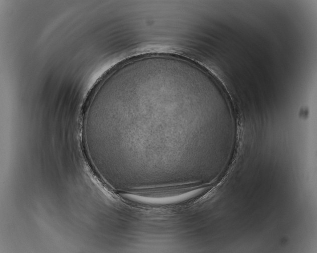 X0000115651119200911241728