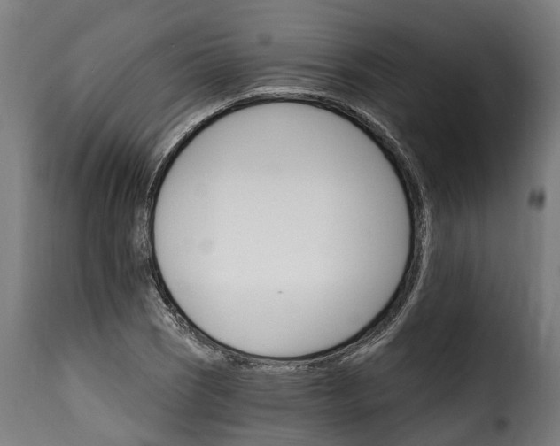 X0000115651121200911241728