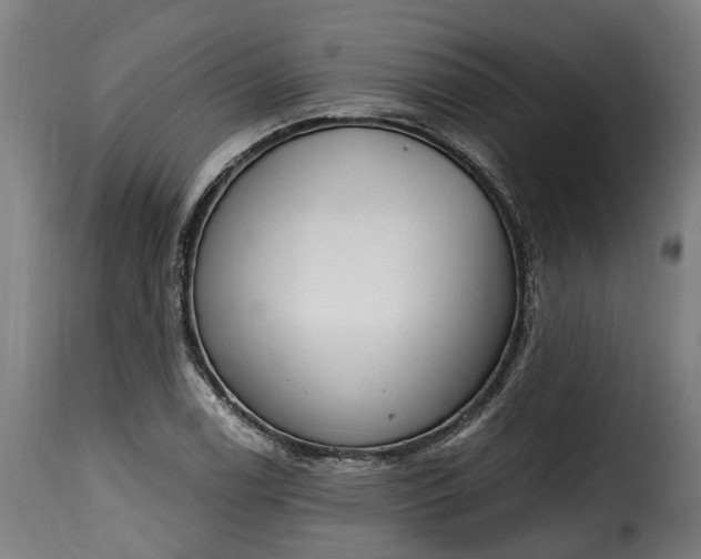 X0000115651122200911241728