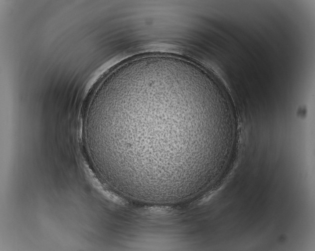 X0000115651125200911241728