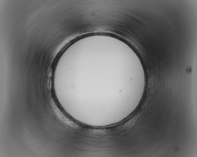 X0000115651126200911241728