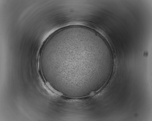 X0000115651127200911241728