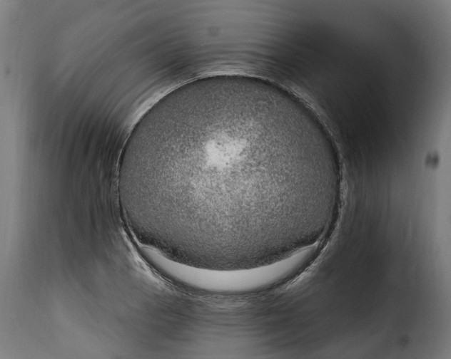 X0000115651129200911241728