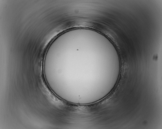 X0000115651130200911241728