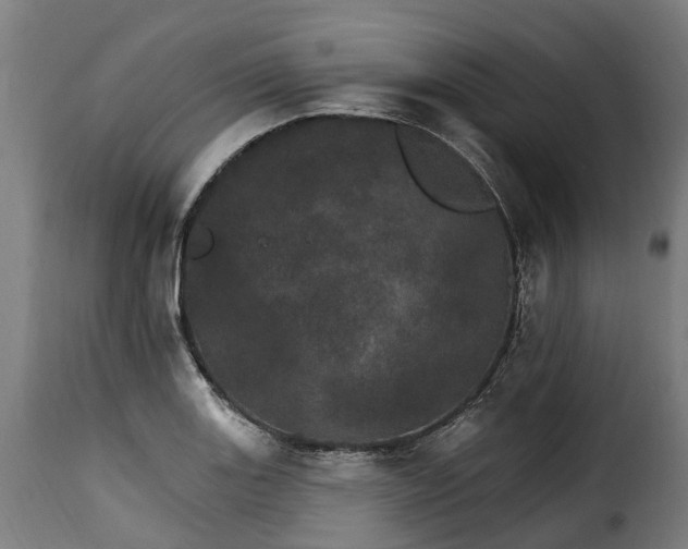 X0000115651131200911241728