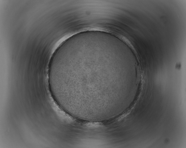 X0000115651133200911241728