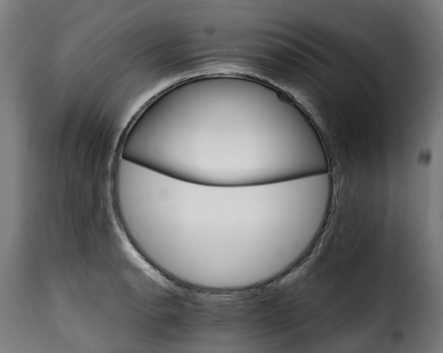 X0000115651134200911241728