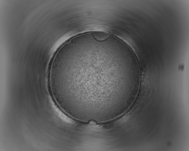 X0000115651135200911241728