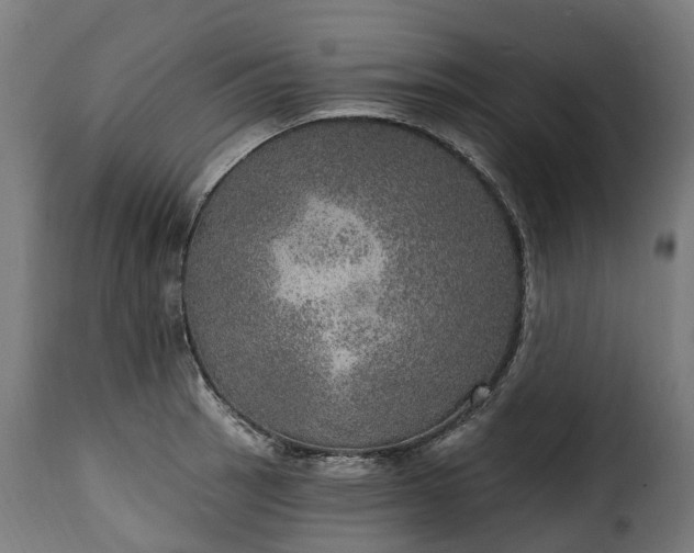 X0000115651137200911241728