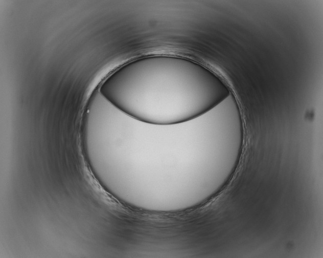 X0000115651138200911241728