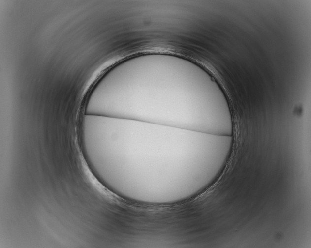 X0000115651139200911241728