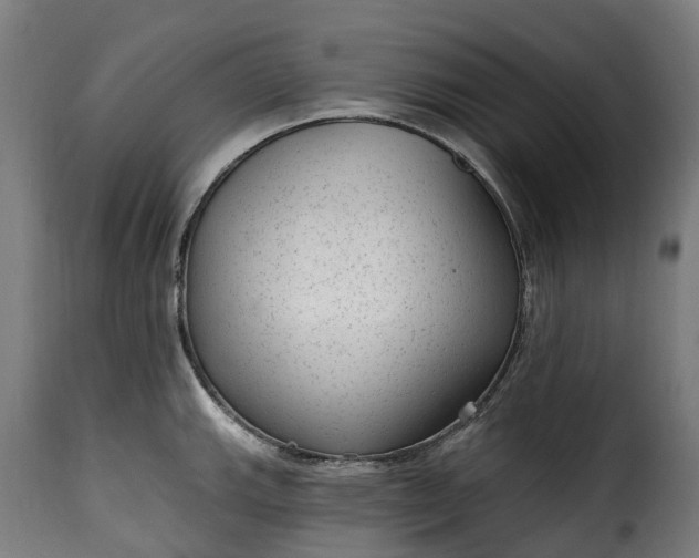 X0000115651143200911241728