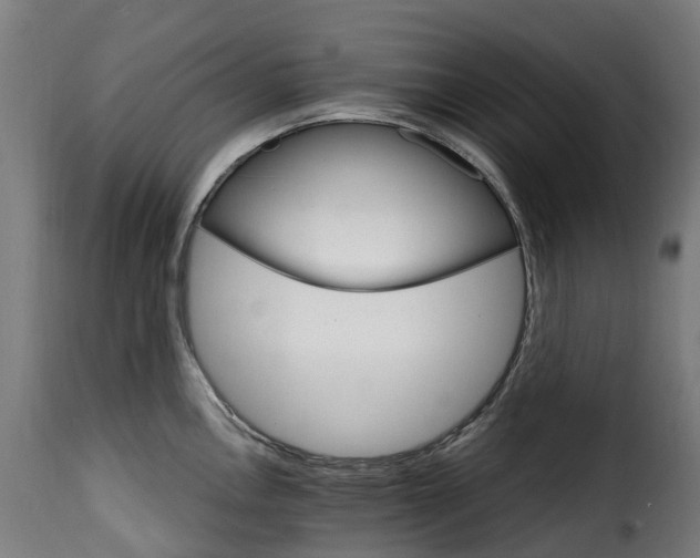 X0000115651146200911241728