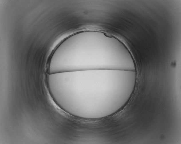 X0000115651147200911241728